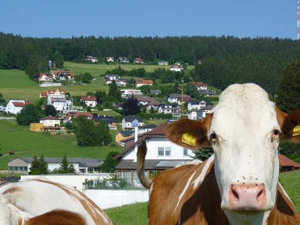 Zersiedelung