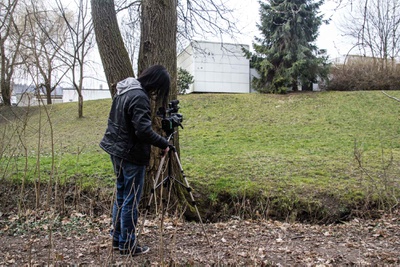 Gartenstadt Puchenau, Architektur: Roland Rainer