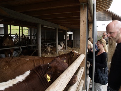 Tour Bauer sucht Architektin4