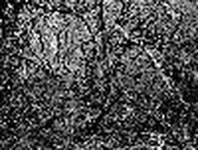D. Tollerian