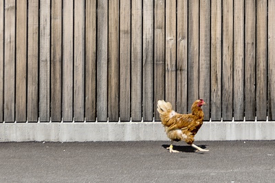 © Simon Bauer