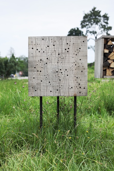 Insect City, Ivan Juarez (AIR 2018/2020)