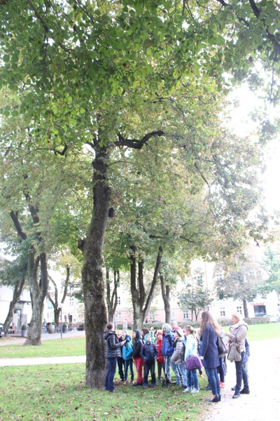 Baum-Raum