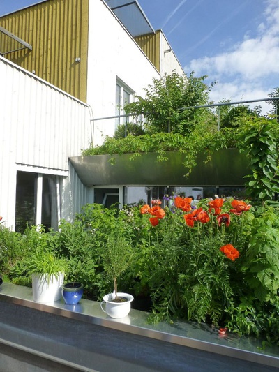 EXKURSION "Low Rise – High Density"