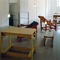 Blick in die Ausstellung "Ezra Pound: Concentrare" im aut