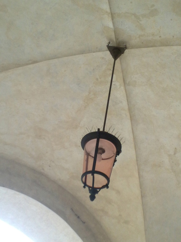 Handyfoto
