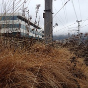 Brache, Innsbruck