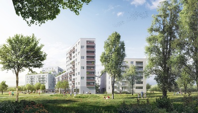 Campagne Reichenau