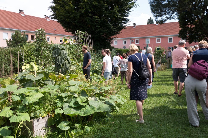 Gemeinschaftsgarten