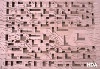 Heinz Tesar: La Veneguera