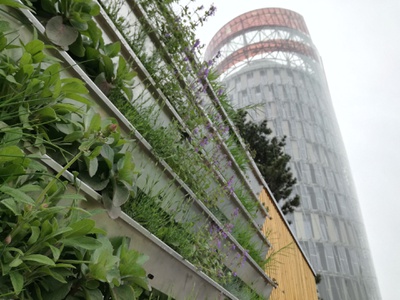 Smart City