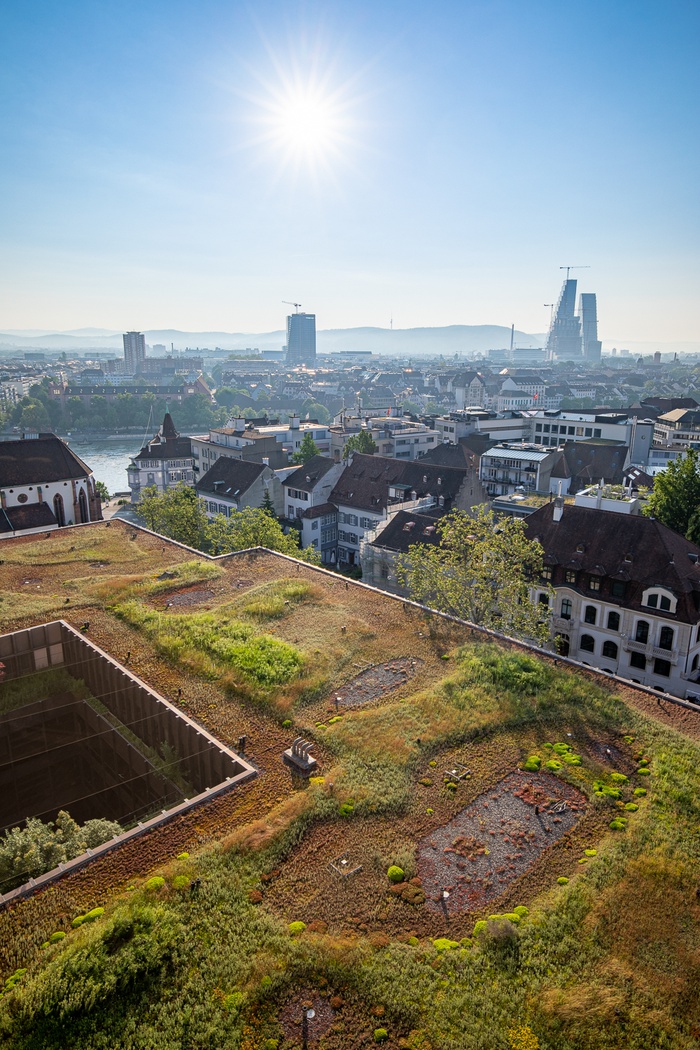 Flachdach_2021
