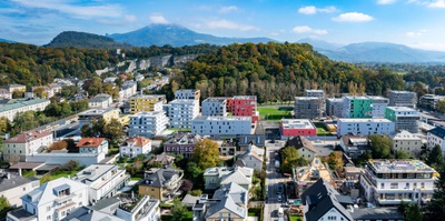 Panorama Riedenburg