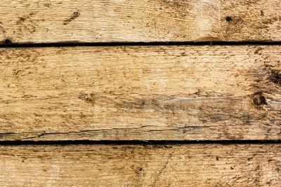 Holz