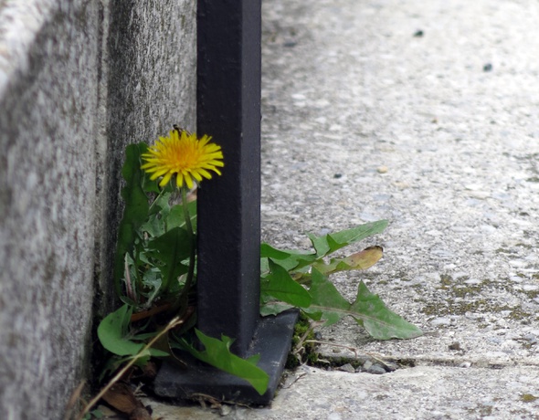 ORTE escape tour stpoelten