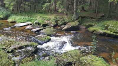 © Heidrun Schlögl