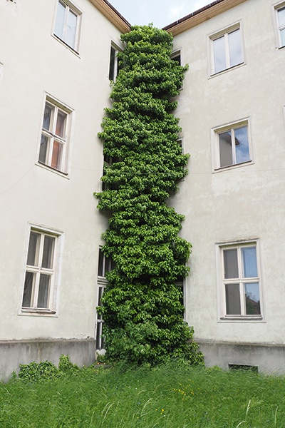 GEHspräch12 – Foto: ORTE / Heidrun Schlögl