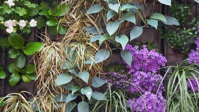Detailaufnahme aus der Ausstellung "EINFACH GRÜN – Greening the City", DAM, Frankfurt, 2021