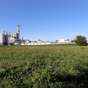 Filmstill, Painting a portrait