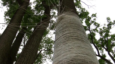 Ausschnitt aus dem Film – © Renate Stuefer, Ausschnitt aus dem Film Ausschnitt aus dem Film